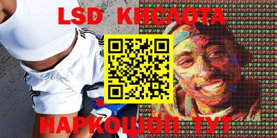 стаф Канаш
